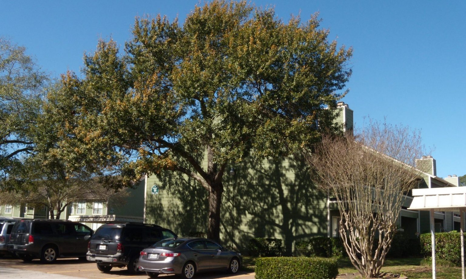 Waterman Crossing Condominium Association